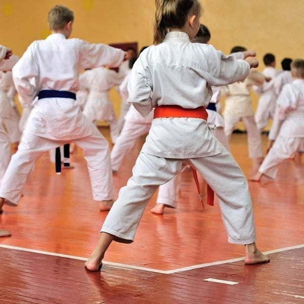 Hong Martial Arts : Karate/ TKD/ Jiu Jitsu