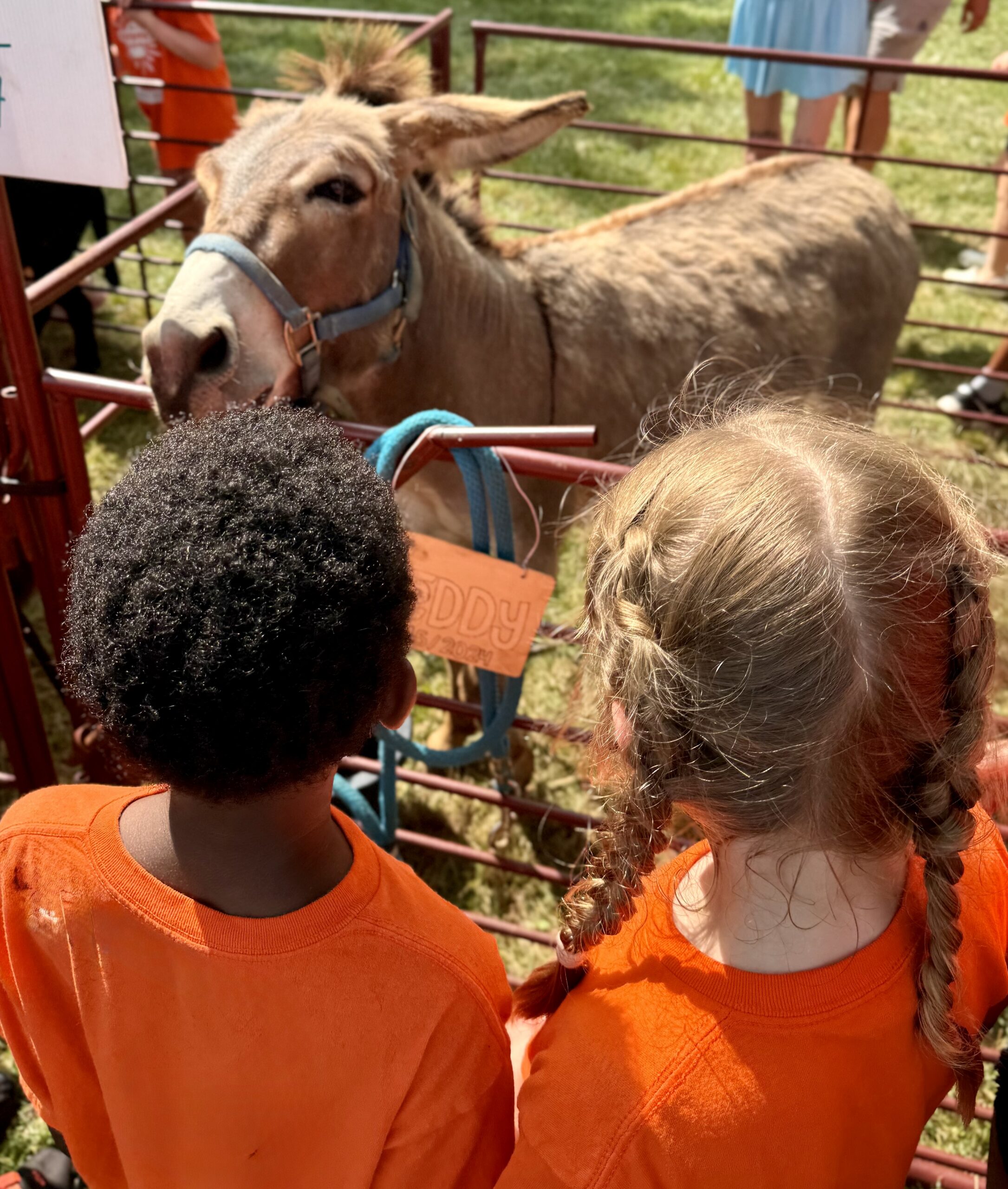 All Day: Animals, Animals, Animals (June 22 – June 26)
